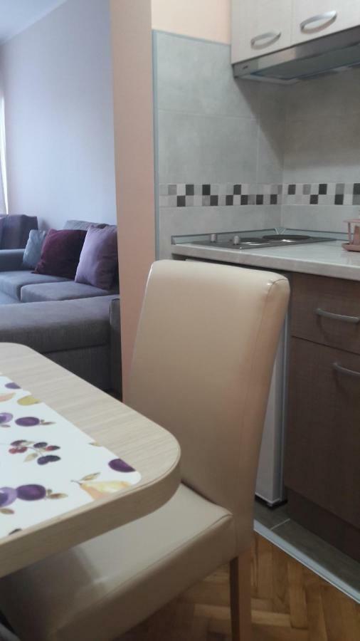 Apartmani V&F Врнячка-Баня Экстерьер фото